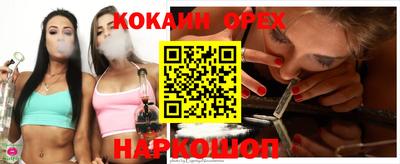 jwh Кингисепп