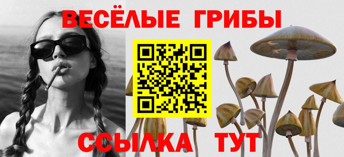 Псилоцибиновые грибы мухоморы Карпинск
